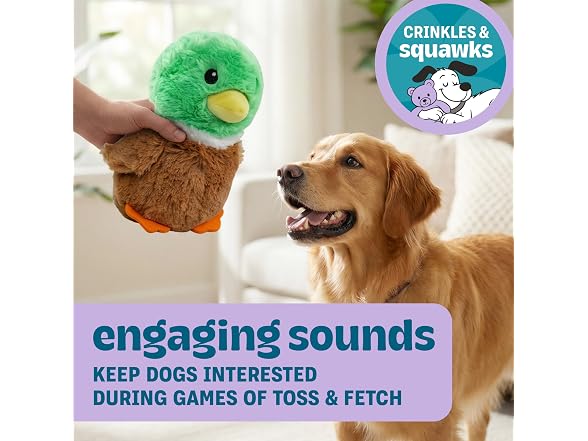 Pupstages Pudgy Pals Mallard Duck Dog Toy, Plush