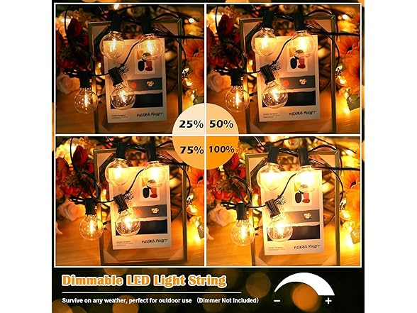 Brightever 120ft Outdoor G40 LED Globe String Lights