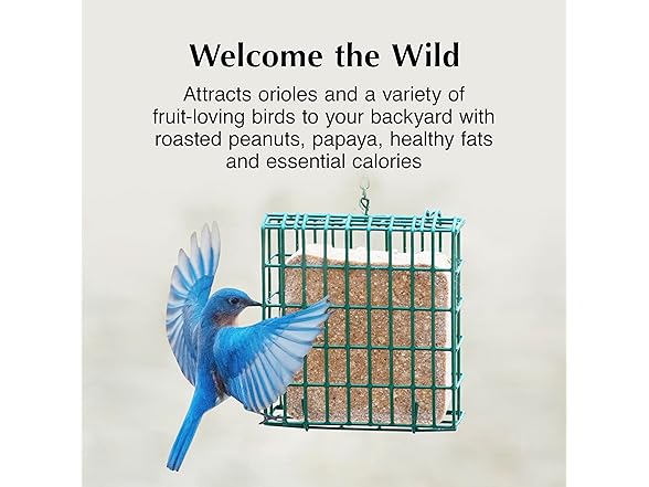 C&S Oriole Delight No Melt Suet Dough, Suet Cakes