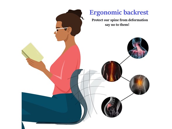 Evertone Posture Support Seat Cushion