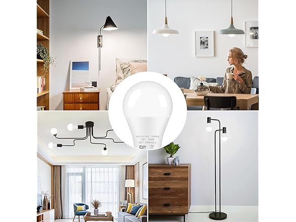 24-Pack A19 LED Light Bulbs, 13W 5000K Daylight White Bulbs