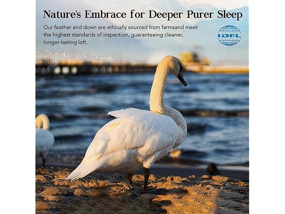 Oversize King Down Fiber Comforter