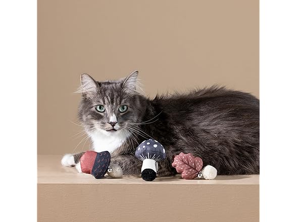 Fringe Studio Forest Finds Cat Toy Mini Sets of 3