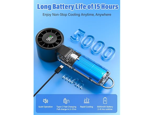 Fcsih Handheld Turbo Fan