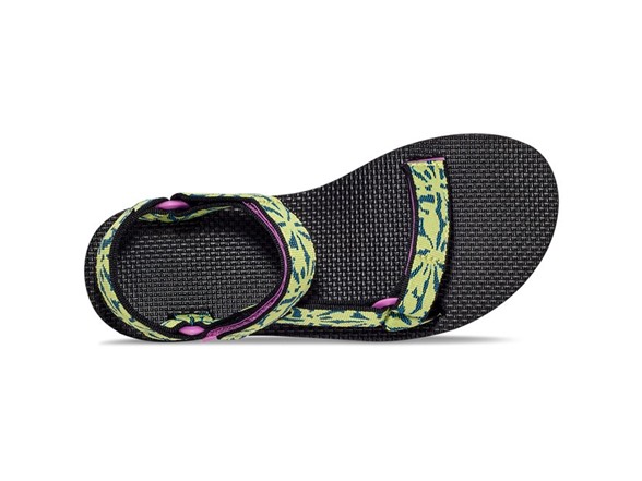 Beach Floral Wild Lime