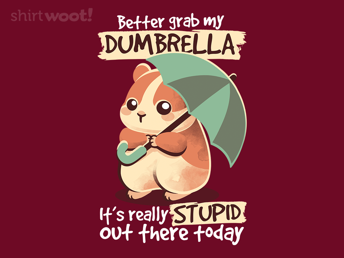 Dumbrella - Gallery 4