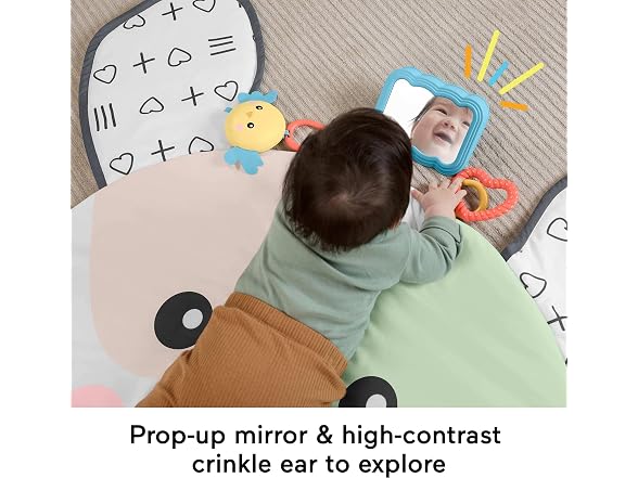 Fisher-Price Baby Tummy Time Toy