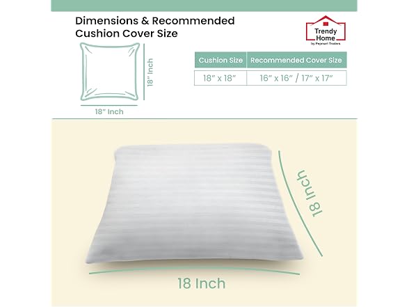 Trendy Home 18x18 Throw Pillow Insert, Set of 2 - Gallery 6