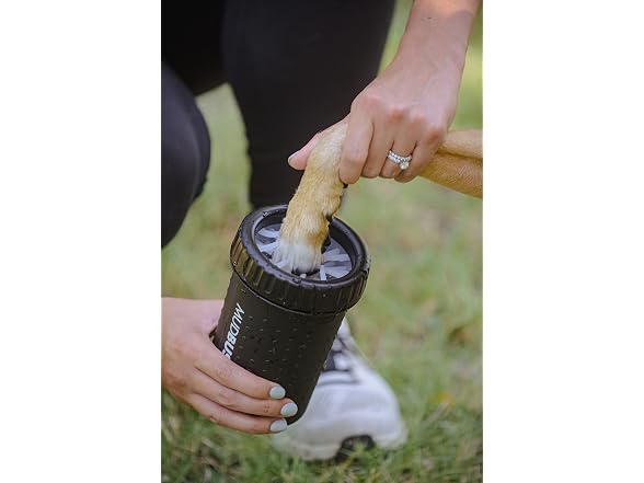 Dexas Medium Dog Paw Cleaner, Matte Black