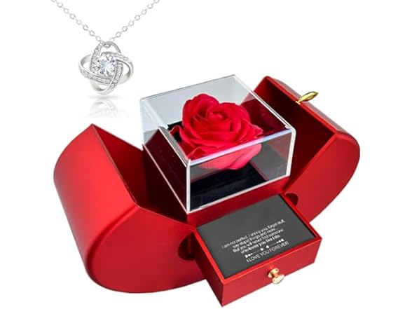 Beyond Love Preserved Rose Sterling Necklace