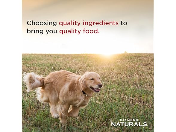 Diamond Naturals Adult Dry Dog Food Lamb Meal