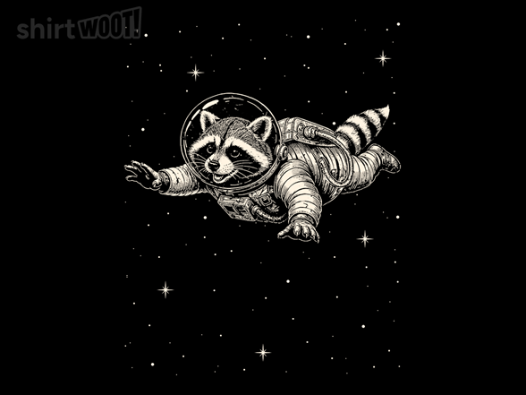 Astronaut Raccoon