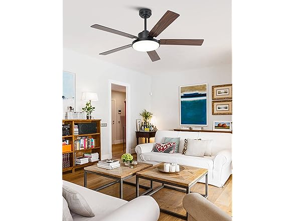 Parrot Uncle Black Ceiling Fan with Light & Remote