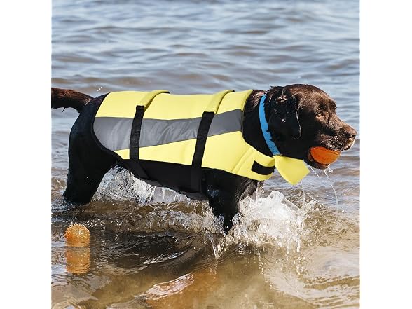 Amazon Basics Dog Adjustable Life Jacket w Reflective Stripes