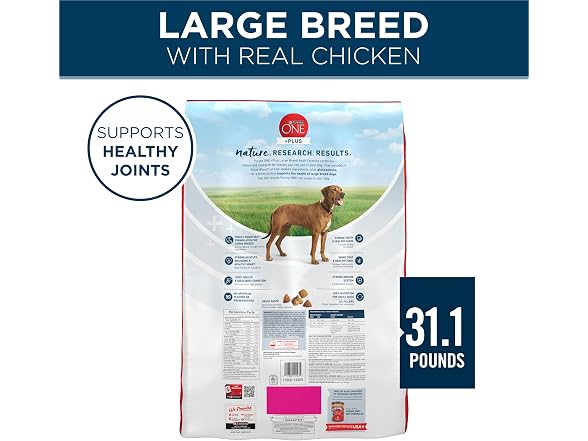 Purina One +Plus Dry Dog Food for Large Dogs