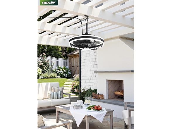 LEDIARY Black 20" Outdoor Ceiling Fan with Lights