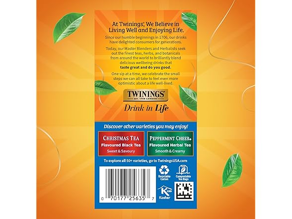 20CT Twinings Winter Spice Herbal Tea