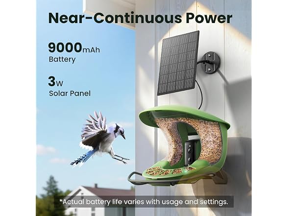 Birdfy 2 Smart Bird Feeder with Camera