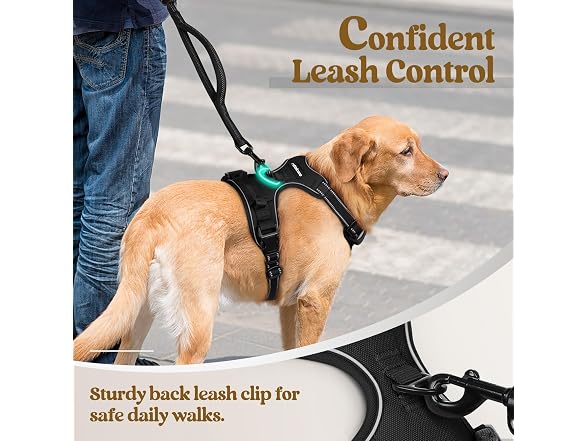 rabbitgoo Dog Harness, No Pull Medium Sized