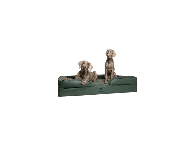 NOAH & PAW SO-LE-GR-XXL XXL NOAH & PAW Dog Bed - Sofa 