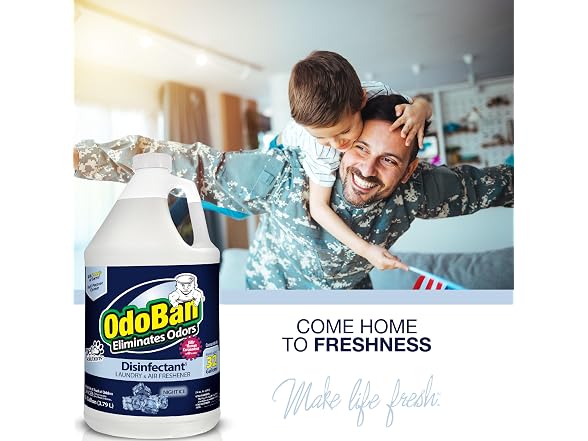 OdoBan Disinfectant Concentrate Night Ice 1gal