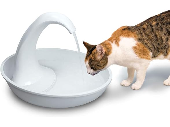 Pioneer Pet Swan Fountain, 80oz