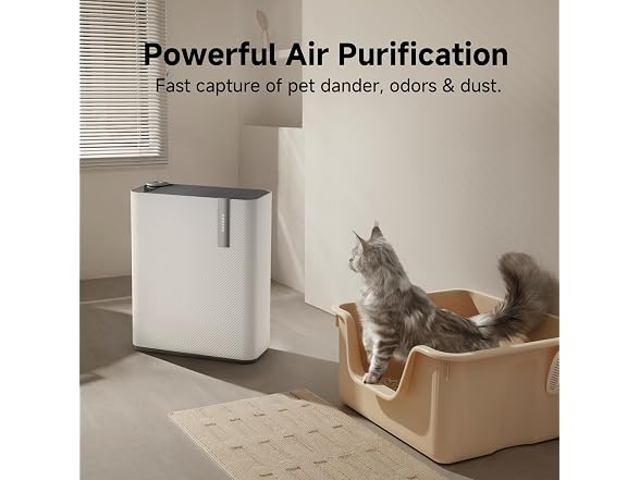 Dreame Air Purifier with Humidifier