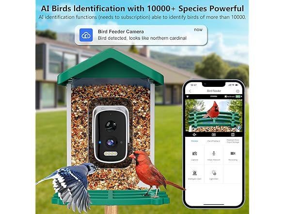 Niuberber Smart Bird Feeder with Camera