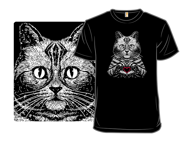 American Shorthair True Affection - Gallery 3
