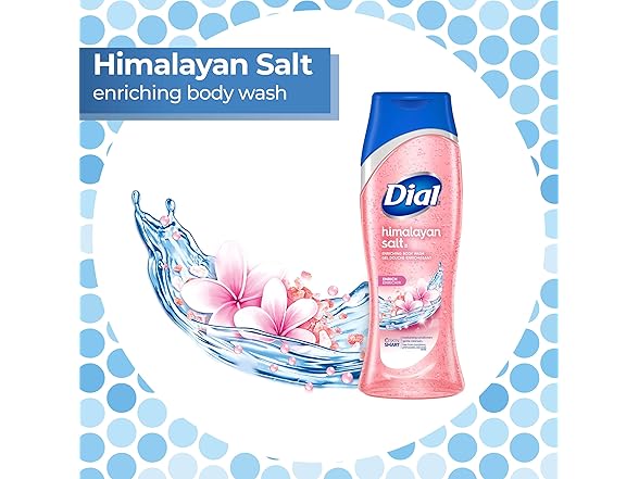 Dial Himalayan Salt Body Wash, 16oz