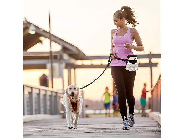 5/6 Ft Dog Leash-Multifunction Dog Treat Pou