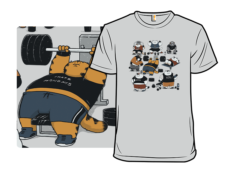 Cat Gym - Gallery 3