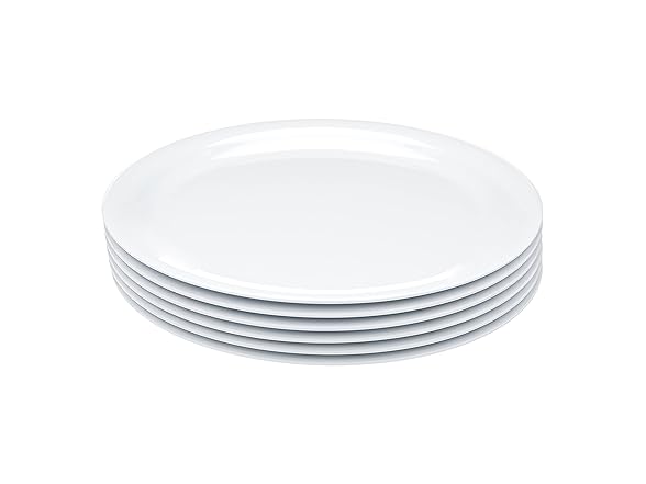 6PC Amazon Basics Melamine (Plastic) Plate, 9 in.