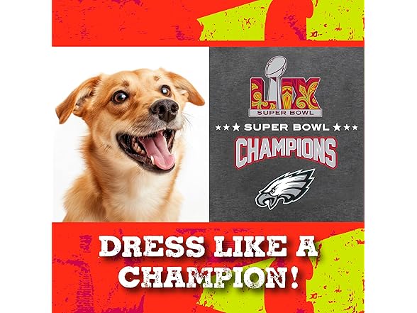 NFL 2025 Super Bowl LIX Championship Pet Tee