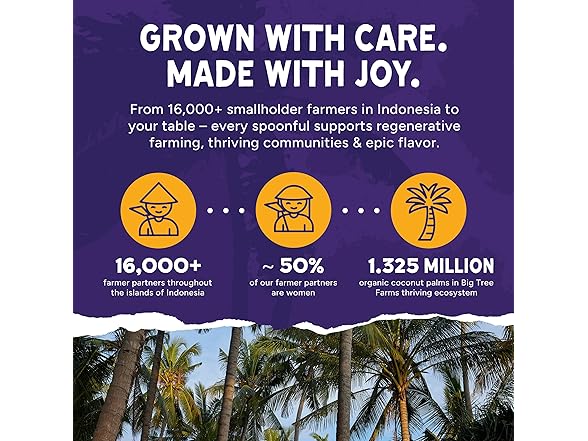 Big Tree Farms Organic Coco Aminos - 10 oz