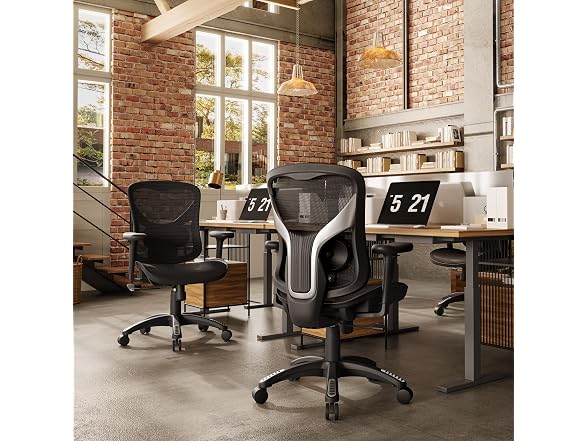 GABRYLLY Ergonomic Mesh Office Chair