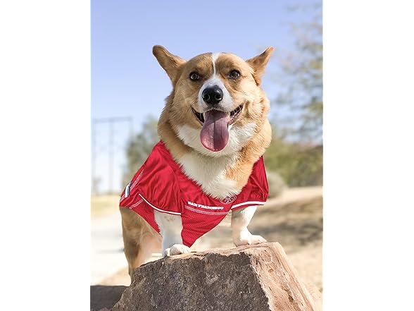 NFL Dog Jersey
