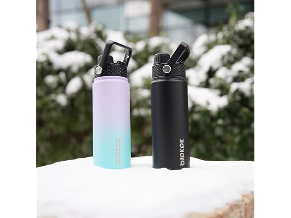 BJPKPK 2 Pack Insulated Water Bottles with Straw Lids, 22oz