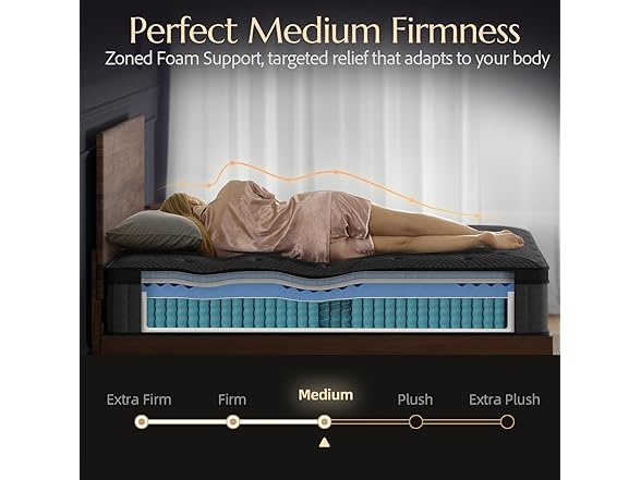 ZLNDR 10 Inch Queen Mattress