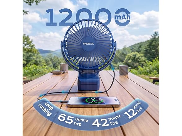 FRIZCOL Clip on Fan