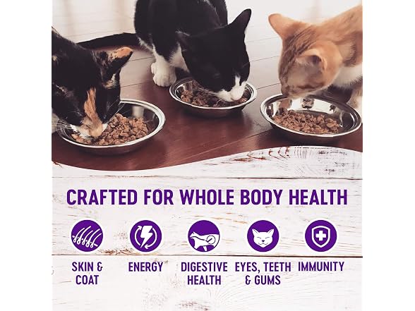 Wellness Natural Pet Food Healthy Indulgence Grain