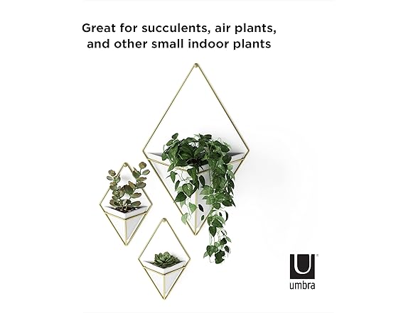 Umbra Trigg Hanging Planter Wall Decor