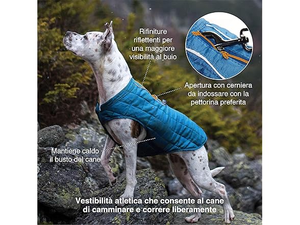 Kurgo Reversible Dog Jacket, Size Medium
