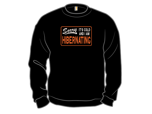 Sorry I'm Hibernating