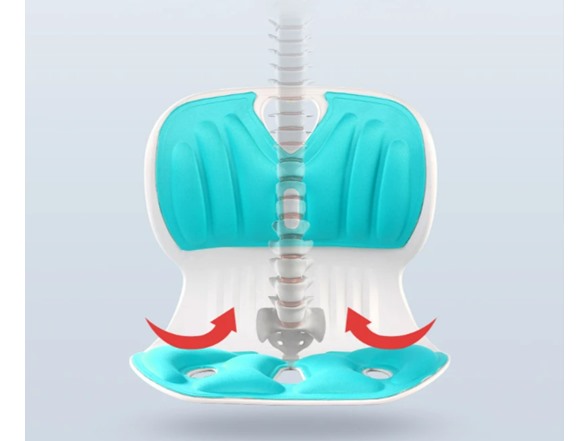 Evertone Posture Support Seat Cushion