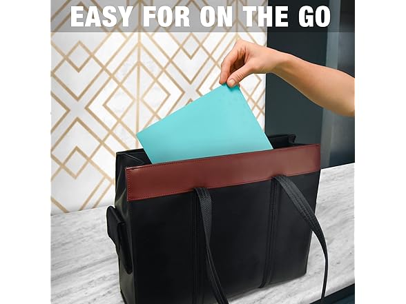 Samsill Durable Plastic  Pocket Folders