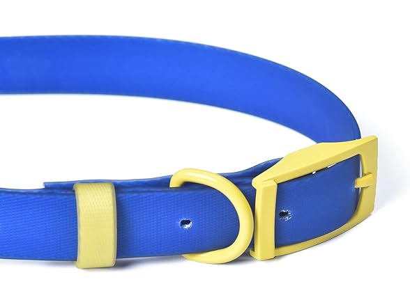 Wags & Wiggles Waterproof PVC Dog Collar