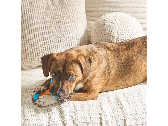 SPOT Bam-Bones PLUS Gigglers Dog Toy