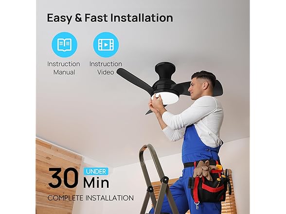 Consciot Ceiling Fan With Lights 30 Inch, Black