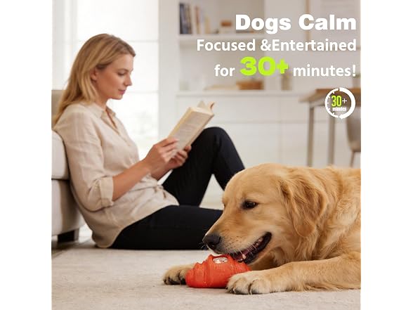 DAMDANLUNO 2pack Durable Frozen Dog